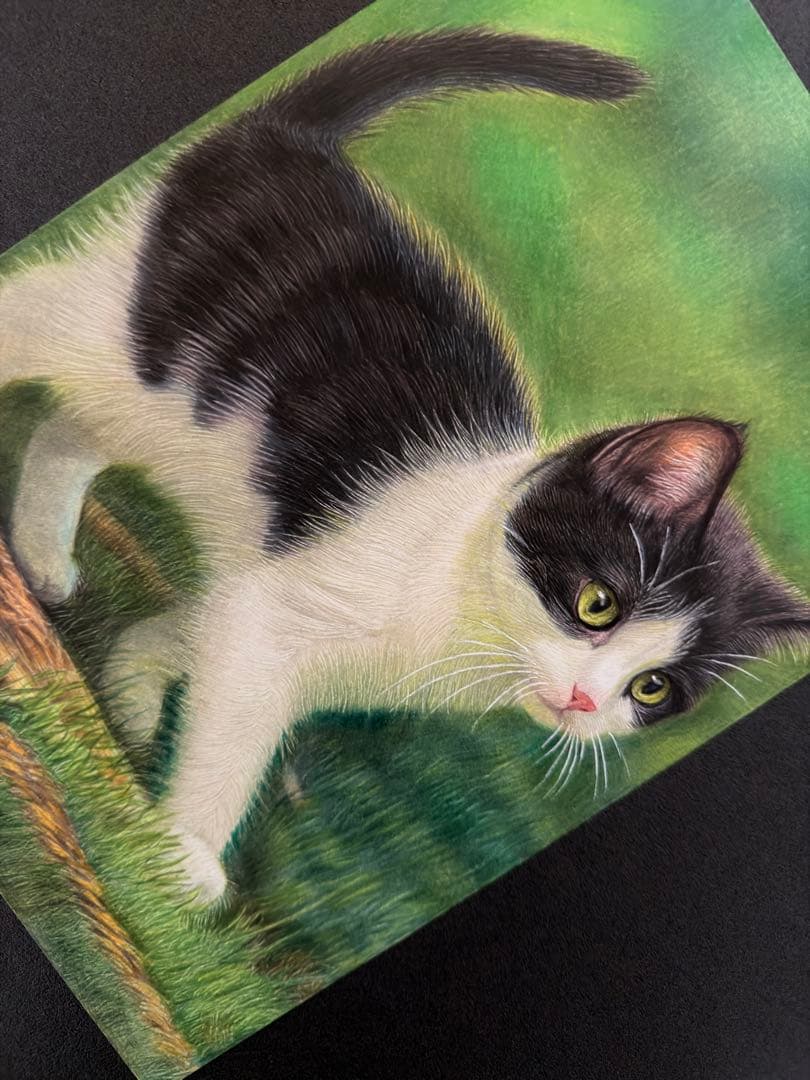 色鉛筆画A4小さな冒険仔猫