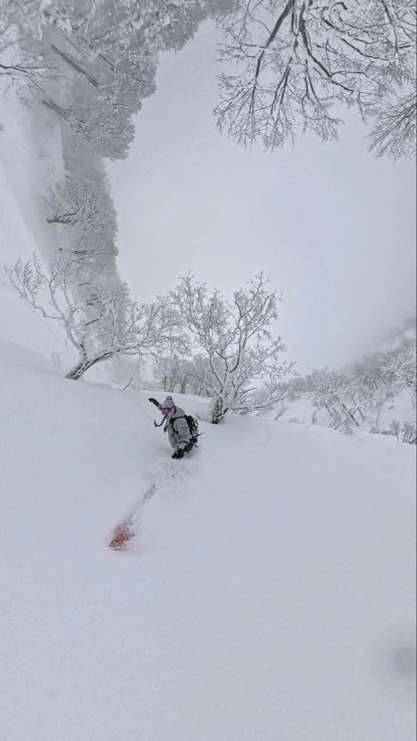 Burton Fragment ak GORE-TEX Pro 3L S上下