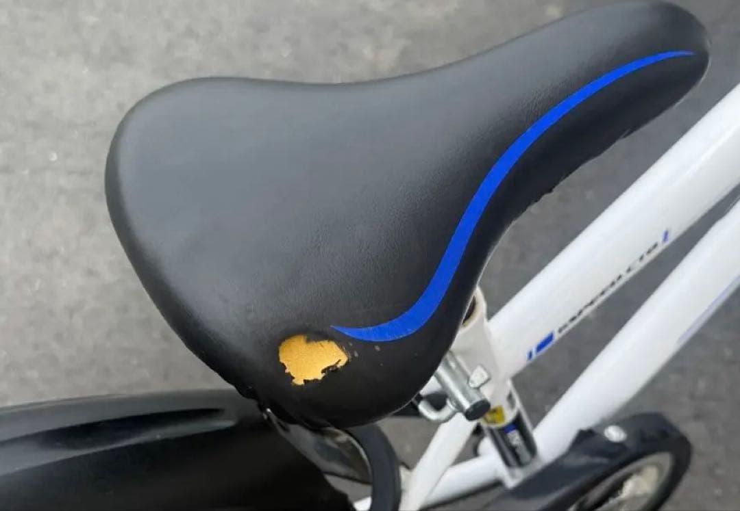 子供用自転車　22インチ　GOSFORD ジュニア　キッズ　ホワイト　奈良県