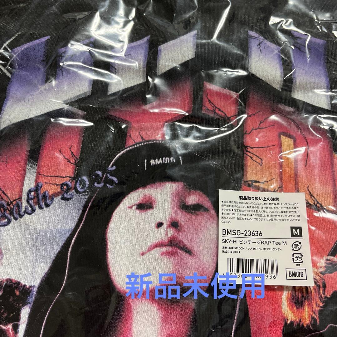 SKY-HI ビンテージRAPTee Tシャツ Mサイズ