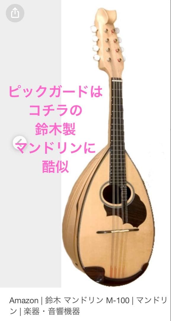 ✴︎新品同様✴︎ マンドラ　✴︎希少・美音•全体的に綺麗✴︎ ハードケース付き