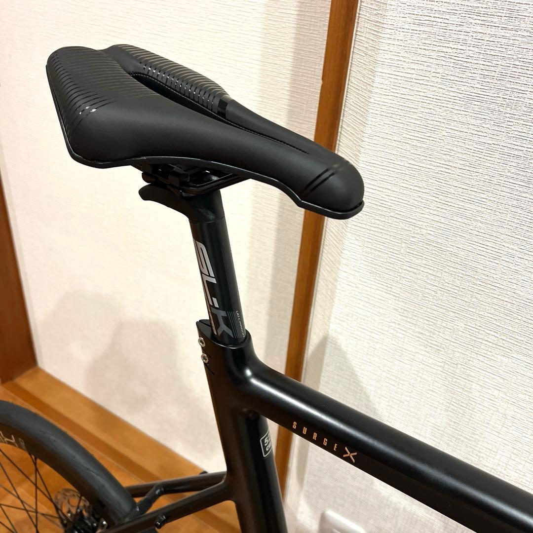 限定値下 極美品 ターン TERN SURGE X ダホン TREK GIANT