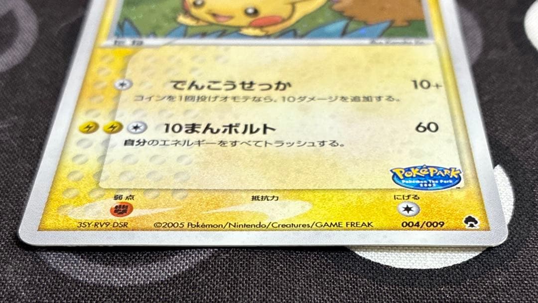 G*p様 ポケパークのピカチュウ 004/009