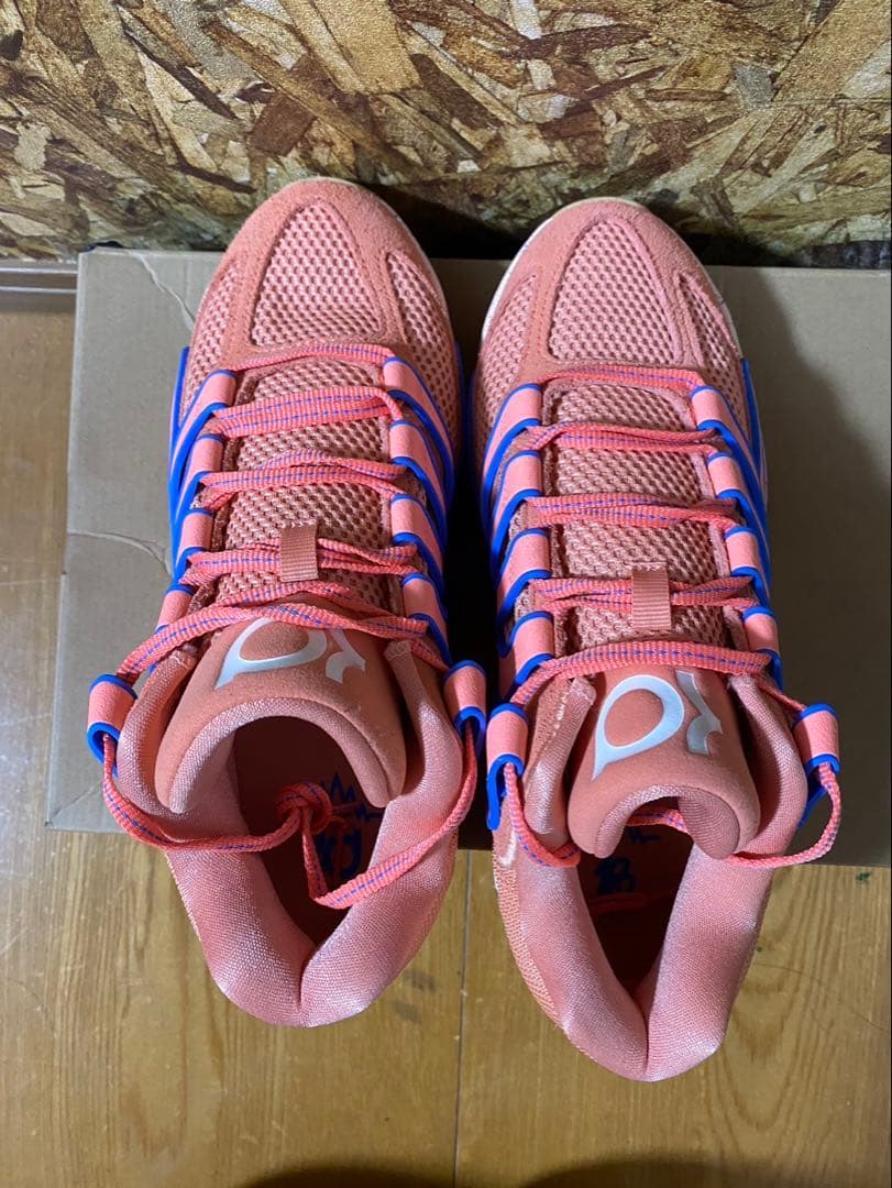 シューズ(男性用) NIKE KD 18 EP