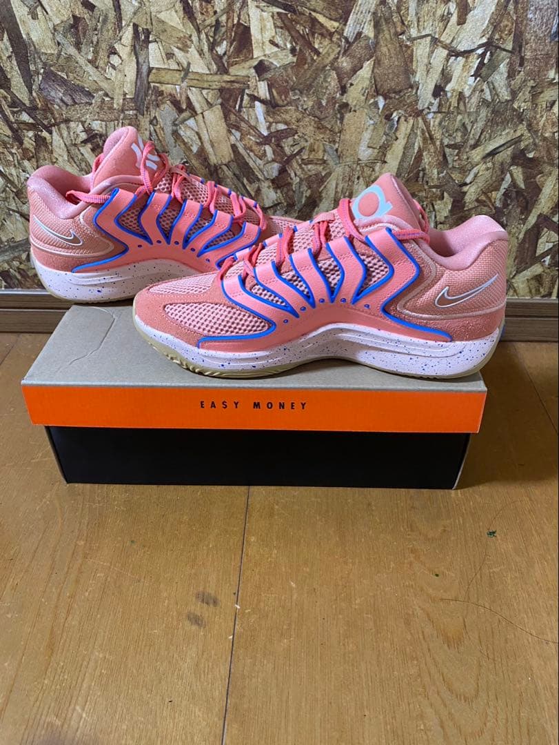 シューズ(男性用) NIKE KD 18 EP