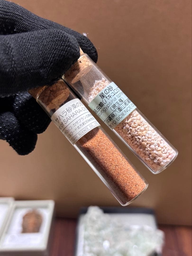 化石＆原石ミックス スピノサウルスの歯、三葉虫、魚眼石、パイライト 他