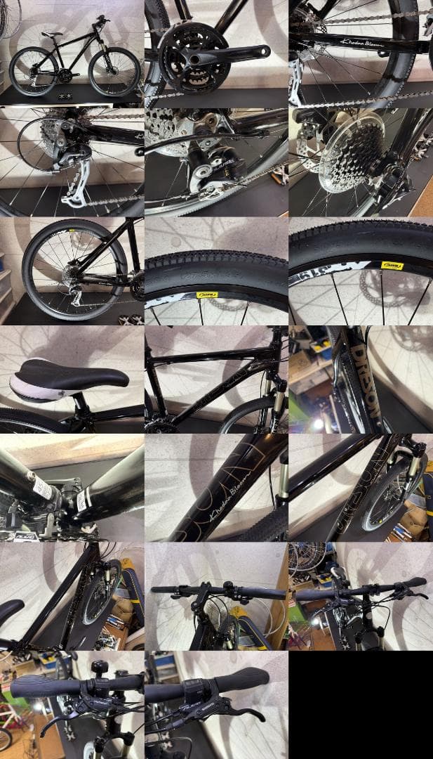 ARAYA Muddy Fox Dirt 油圧ディスクブレーキ　MTB