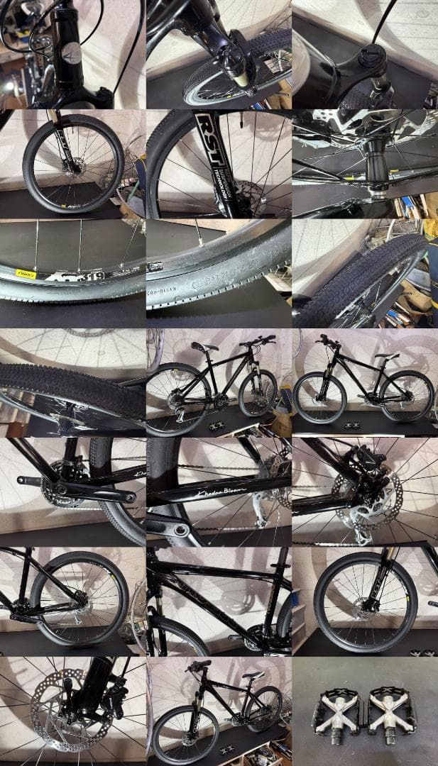 ARAYA Muddy Fox Dirt 油圧ディスクブレーキ　MTB