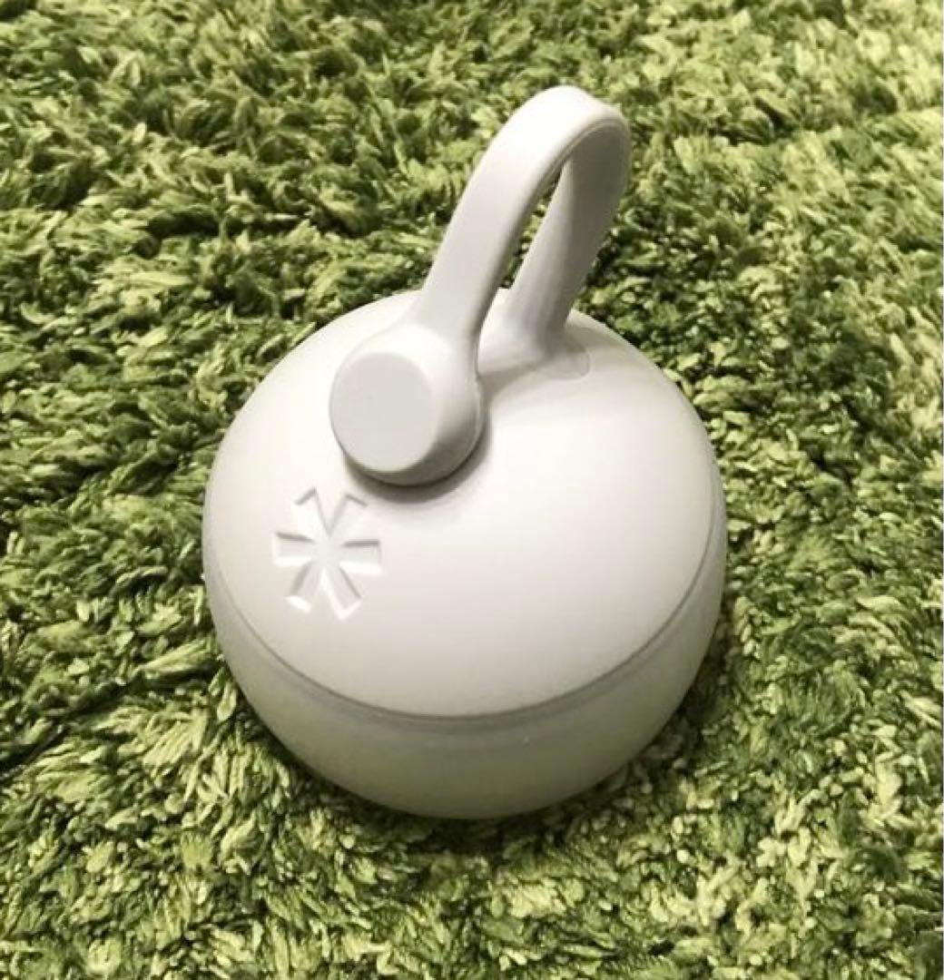 スノーピーク ランタン　RBたねほおづき　あさもや