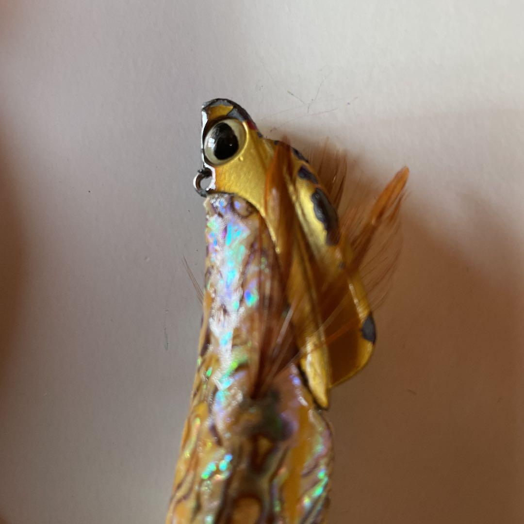 エギ　[TR］全身アワビ　コレクション