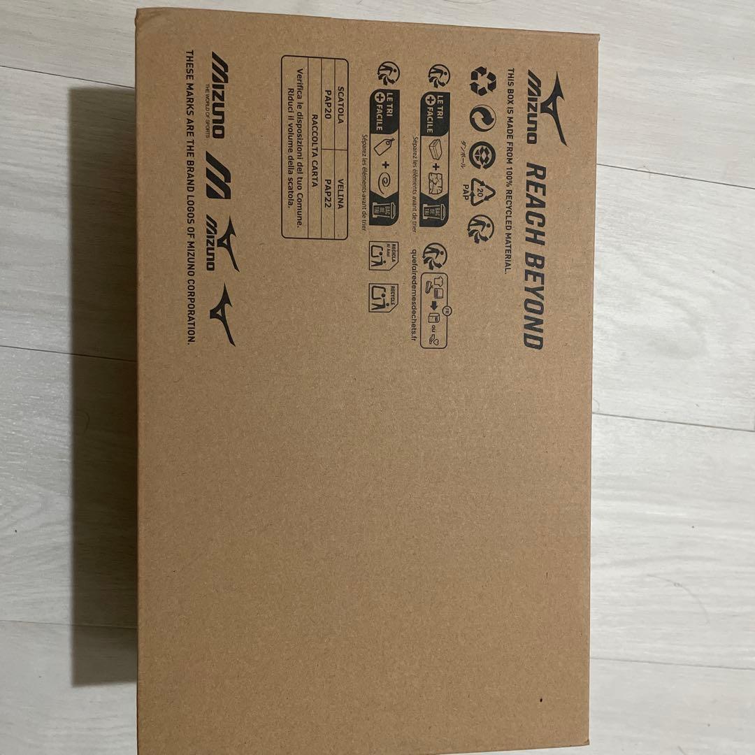 Mizuno ワーキングシューズ FreeRoadLS II 25.0cm 新品
