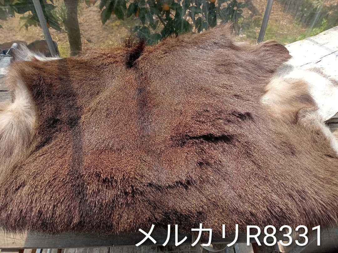 天然日本鹿の毛皮　ラグ