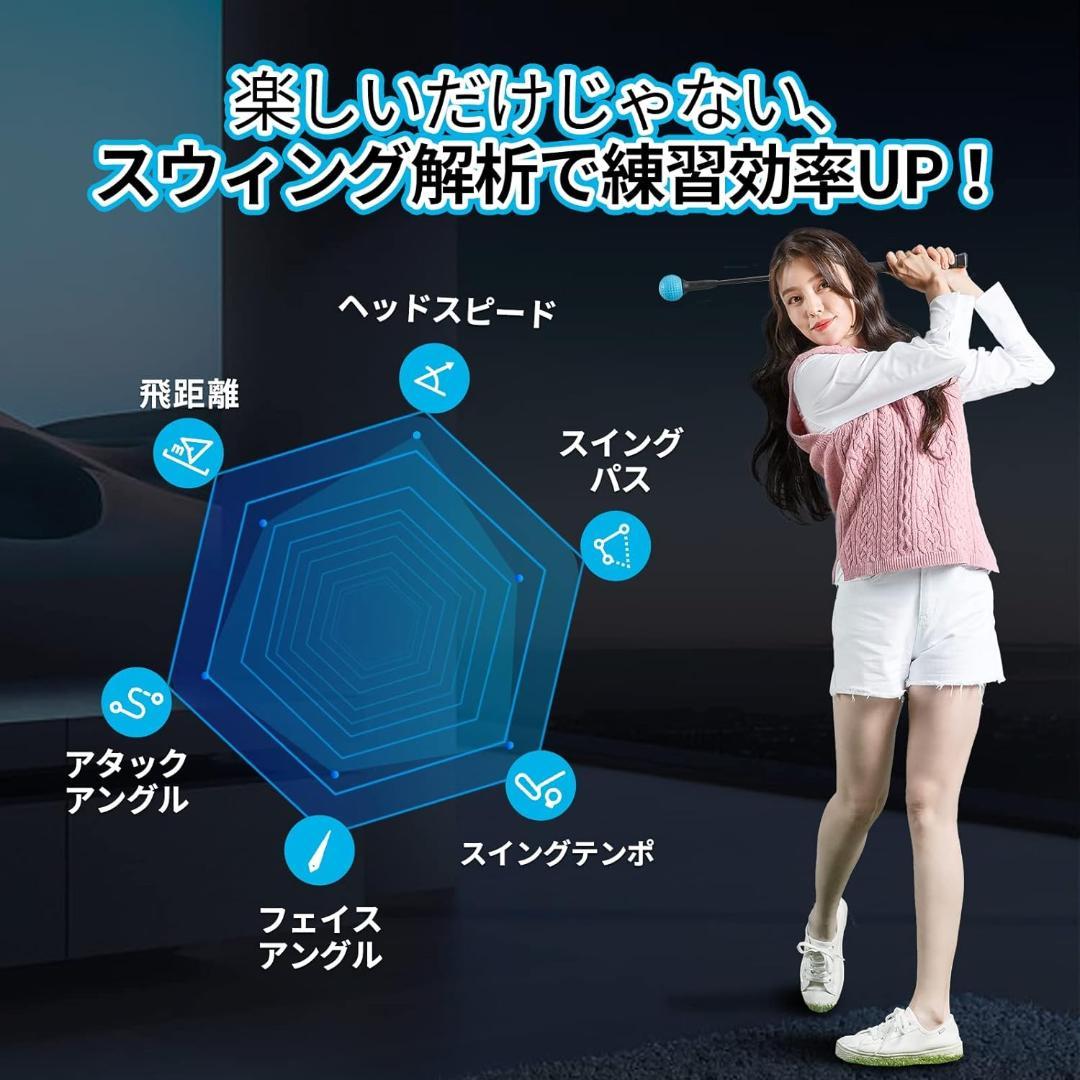 Phigolf (ファイゴルフ)家庭用ゴルフシュミレーター ( WTE)