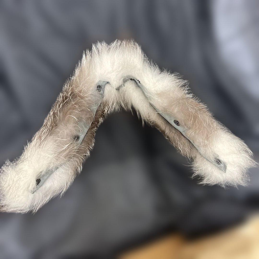 バウオ　bawo BLITZEN