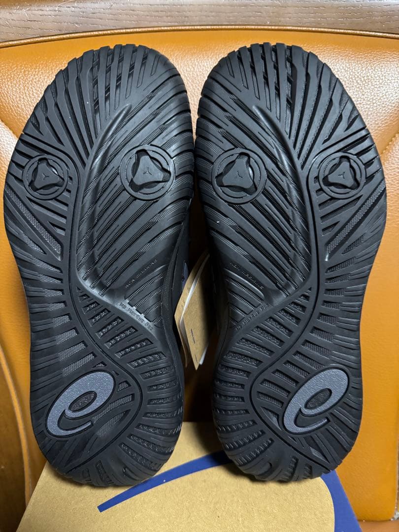 ASICS ゲルレゾリューション X NIGHT ENERGY 25cm