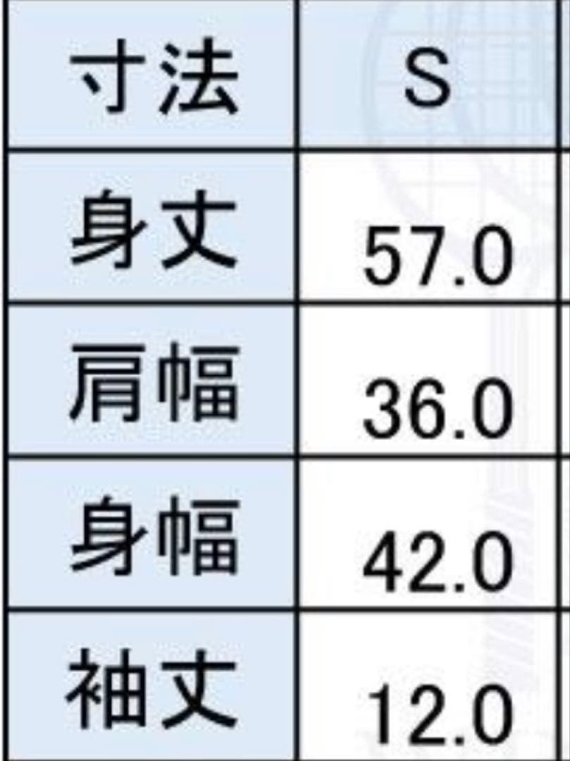 新品未使用 アドミラル ラメフロントラインレディース ウインザーオリジナル