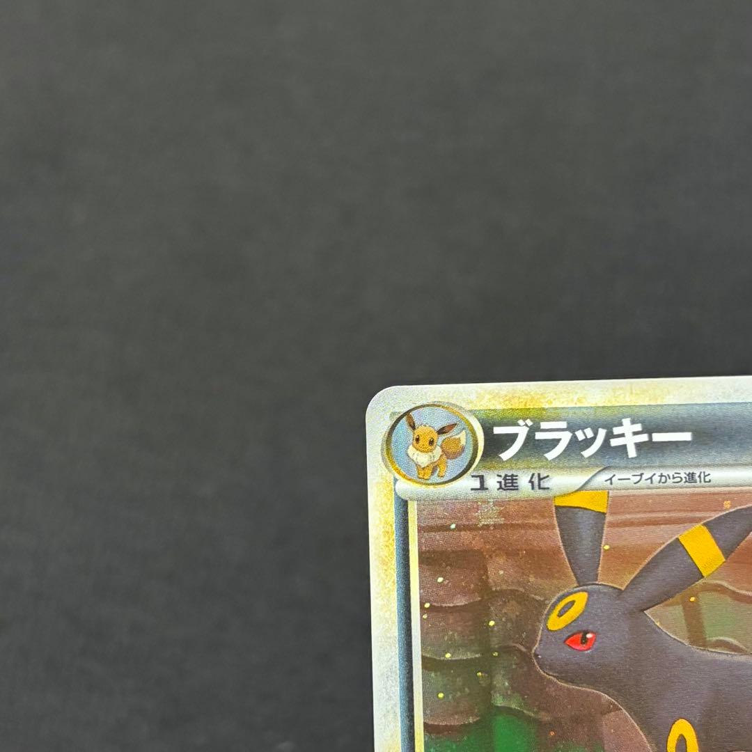 11/0591 美品 ブラッキー L2 037/080