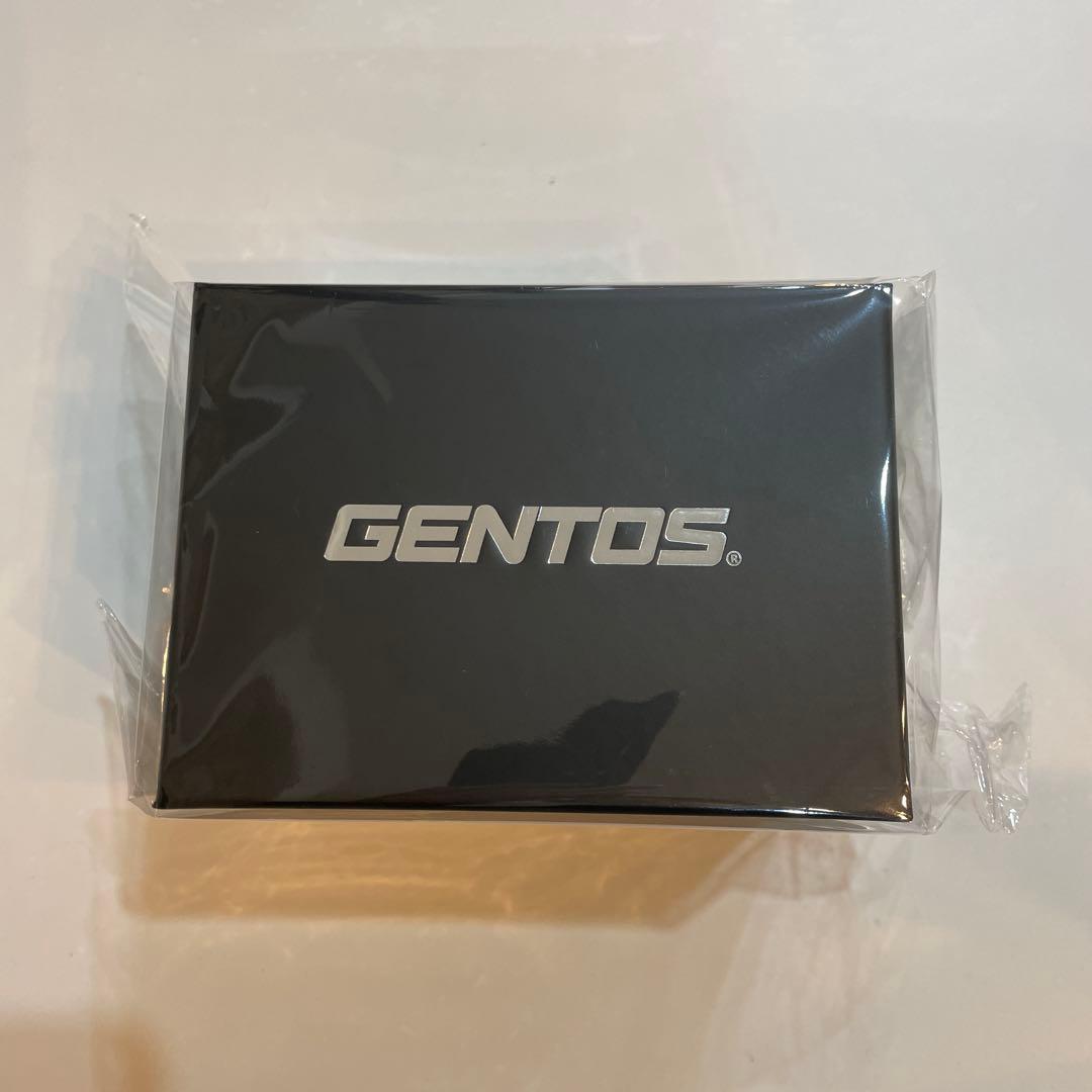 GENTOS ジェントス GH-300RG ヘッドライト