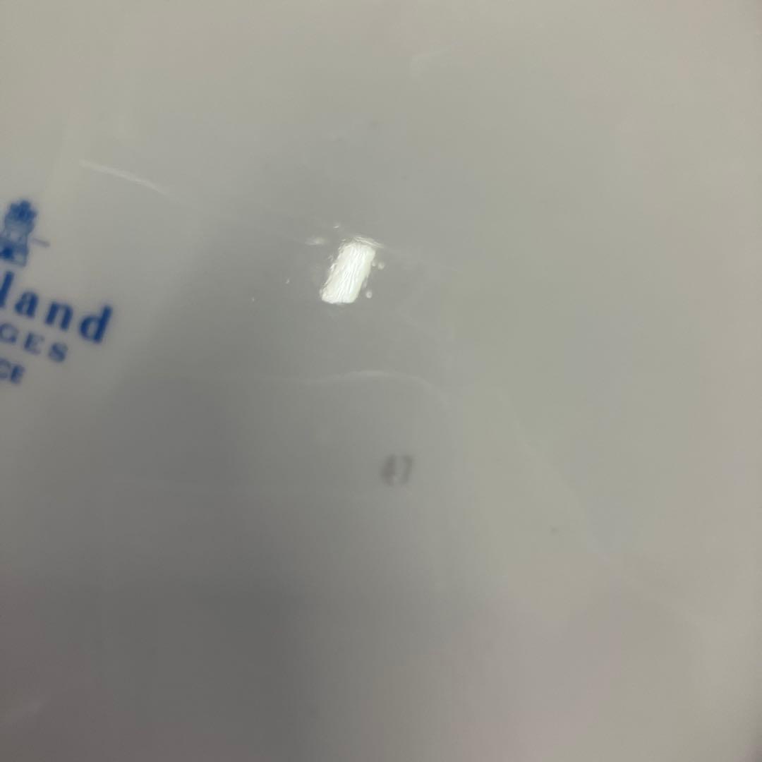 Haviland LIMOGES FRANCE アビランド大皿