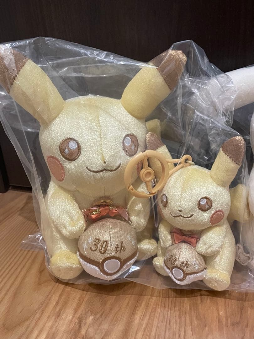 ぽこあ ピカチュウ うすいろ 30周年 マスコット ぬいぐるみ 5点セット