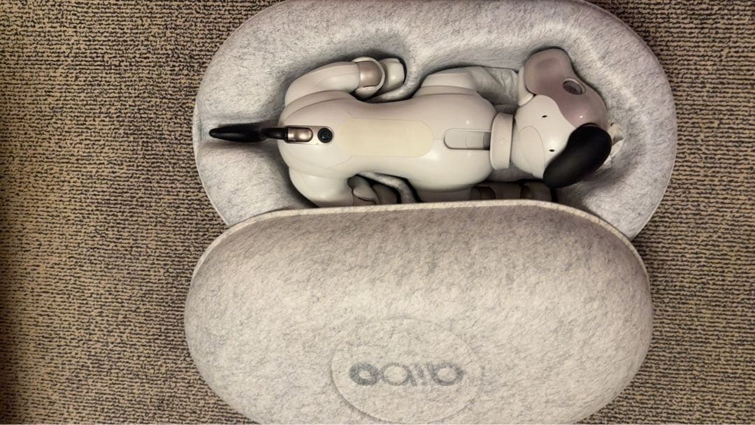 値下げaibo ERS-1000 アイボリーホワイト 初期化、メーカー検診済