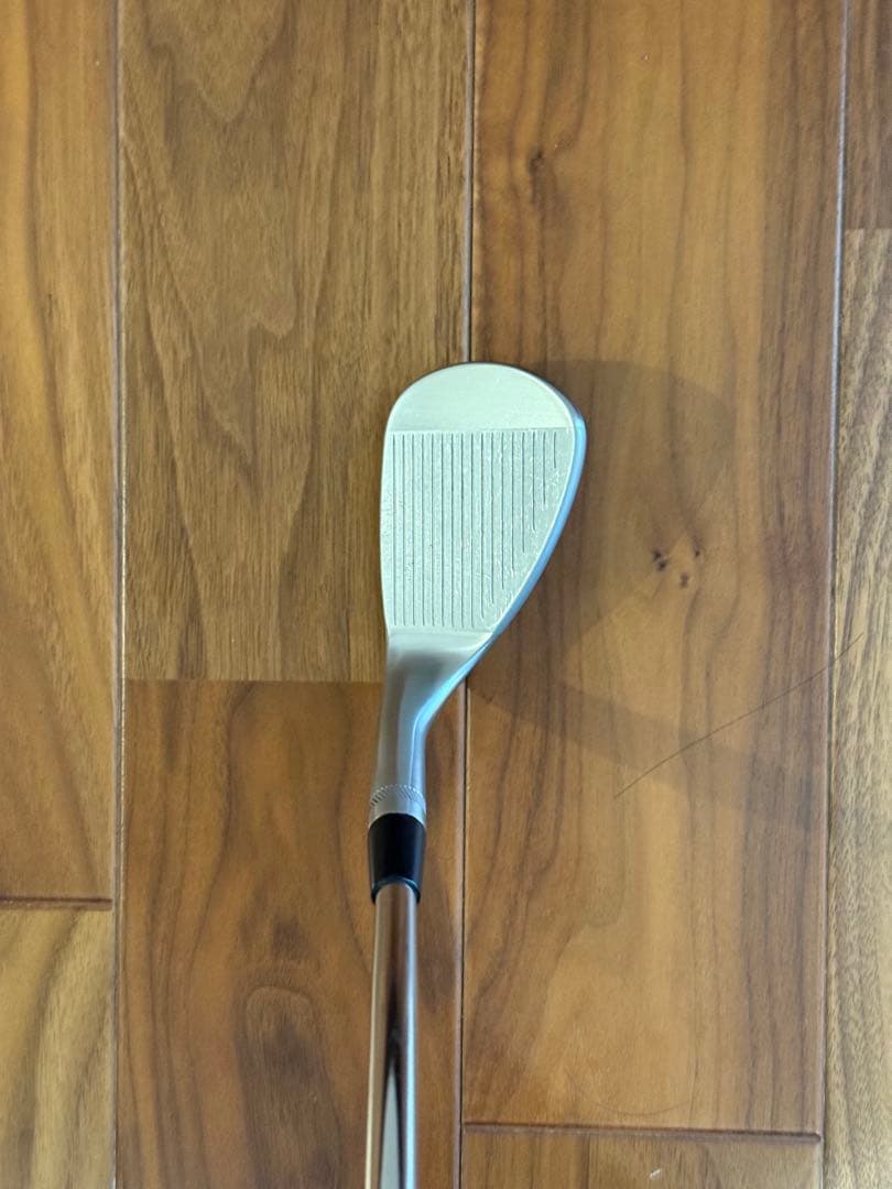 タイトリストSM10 58.10S D/G WEDGE