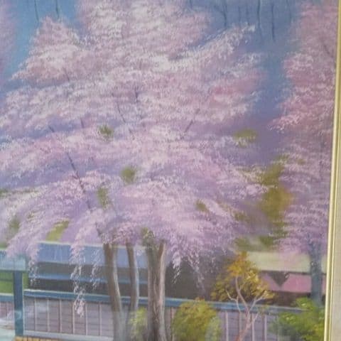爛漫の桜 F8号 ( 肉筆画)