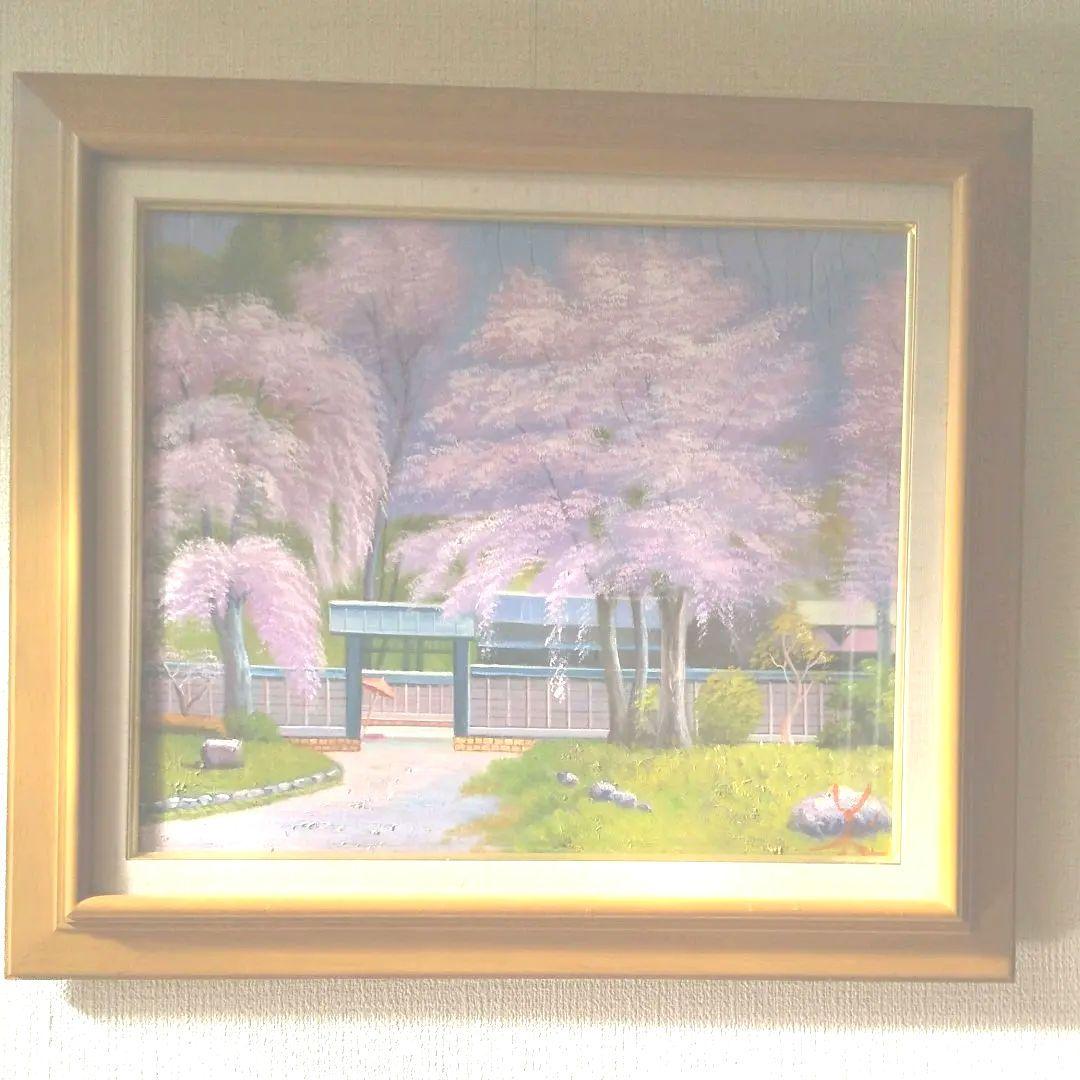 爛漫の桜 F8号 ( 肉筆画)