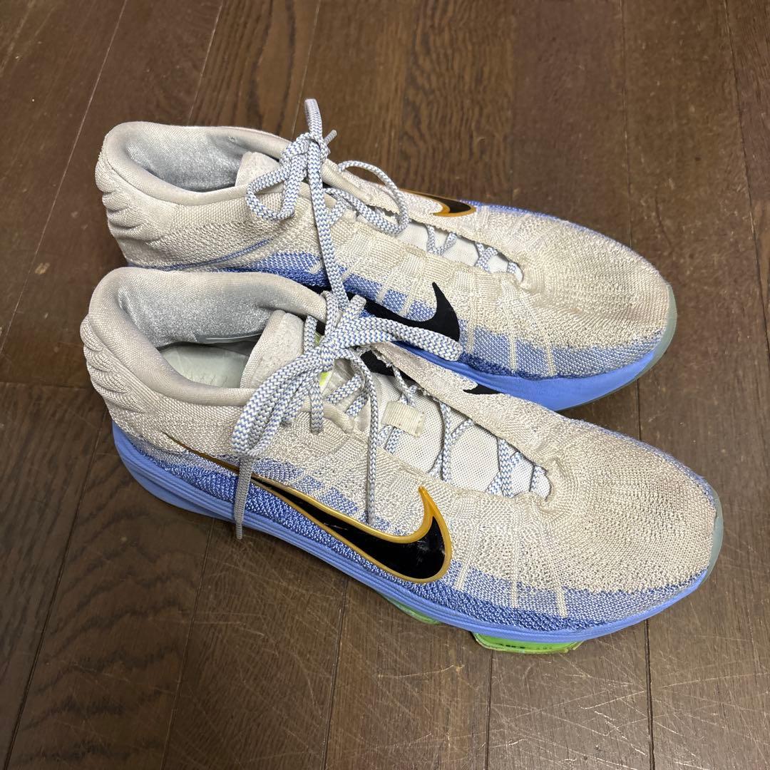 バッシュNIKE 30cm GTハッスルとルカⅡ 2足セット