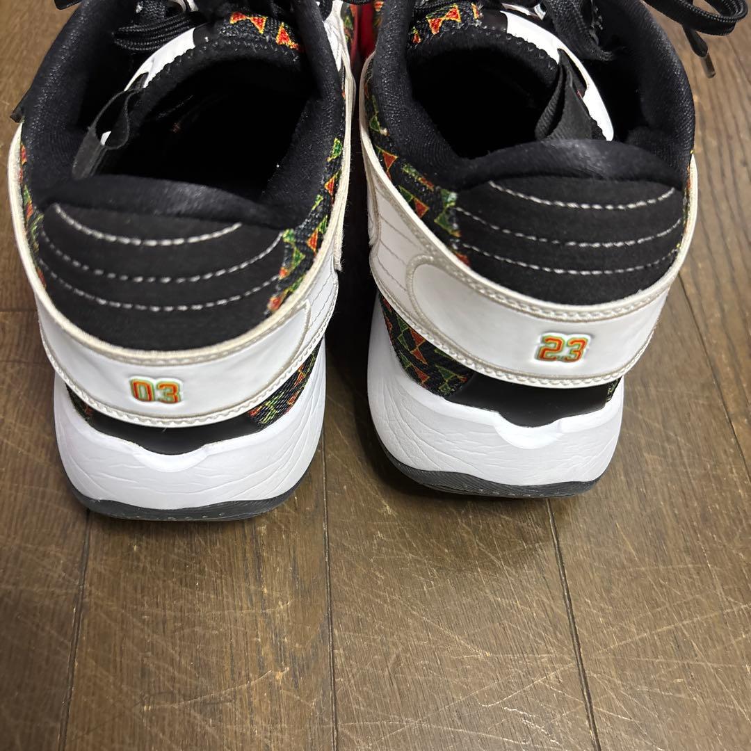 バッシュNIKE 30cm GTハッスルとルカⅡ 2足セット