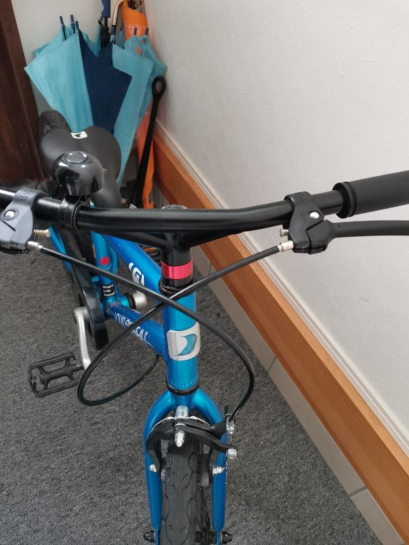 LOUIS GARNEAU 子供用自転車 18インチ青 k18lite ルイガノ