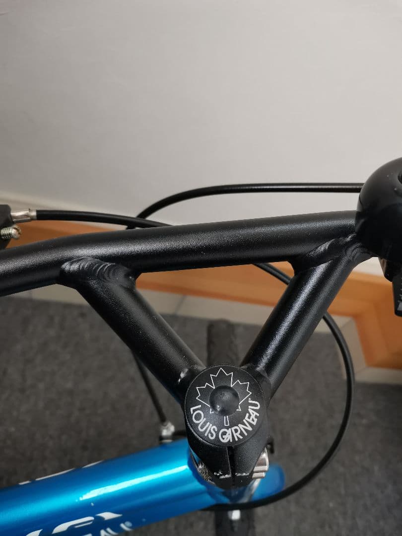 LOUIS GARNEAU 子供用自転車 18インチ青 k18lite ルイガノ