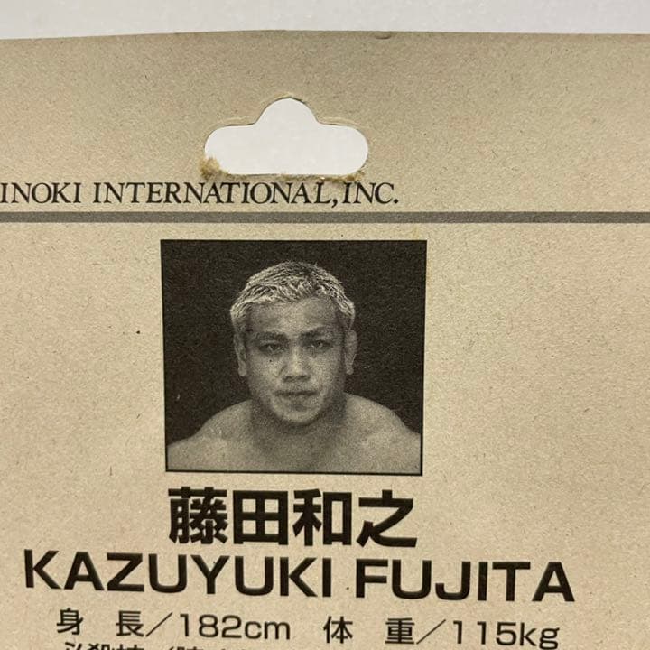 プロレスフィギュア　藤田和之