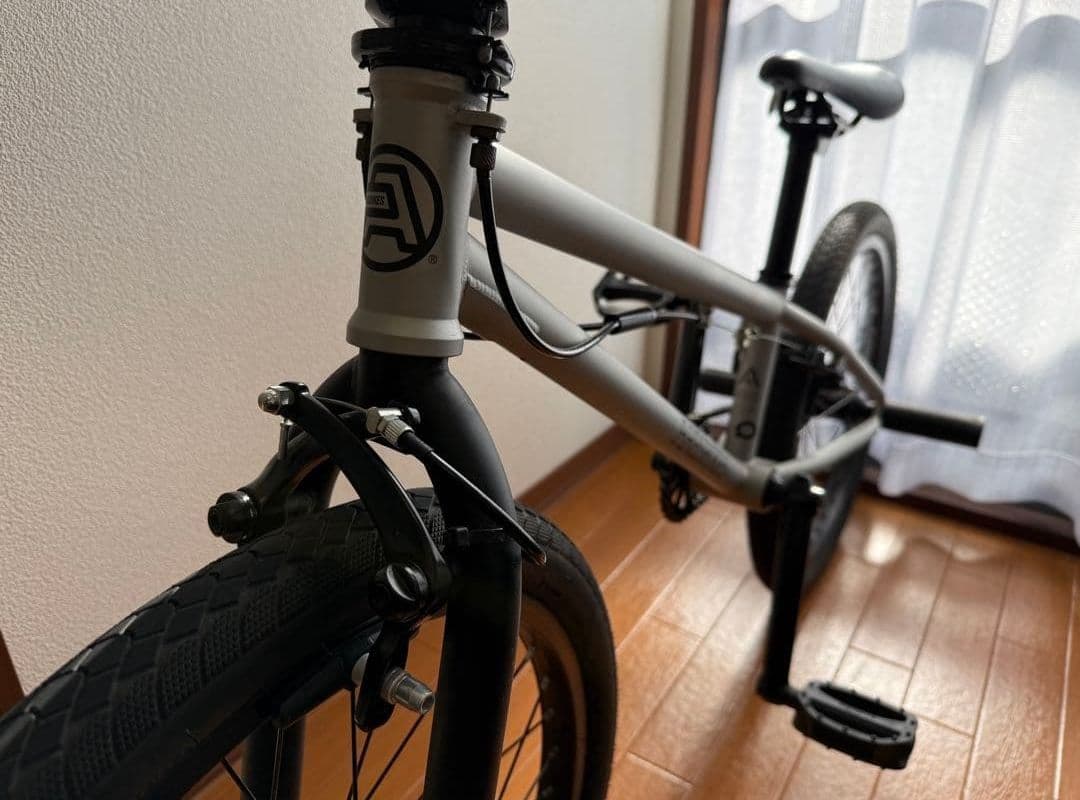 BMX　アーレスバイク　20インチ　フラットランド