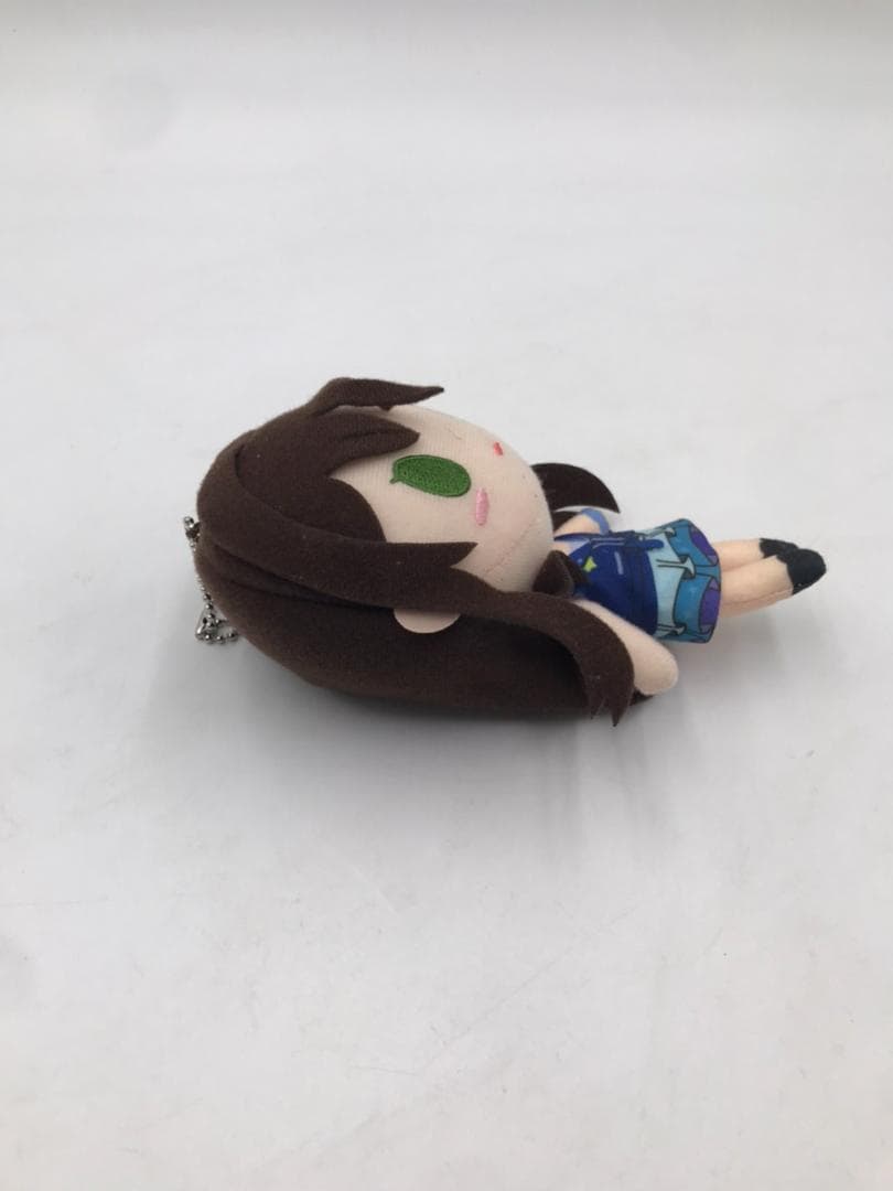 BanG Dream!（バンドリ！）　花園たえ　ぬいぐるみ マスコット　中古美品