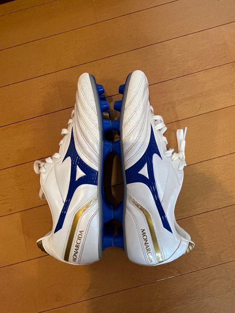 廃盤モデル　MIZUNO モナルシーダJAPAN