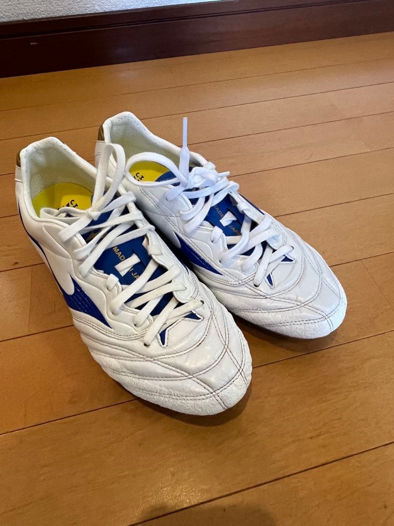 廃盤モデル　MIZUNO モナルシーダJAPAN