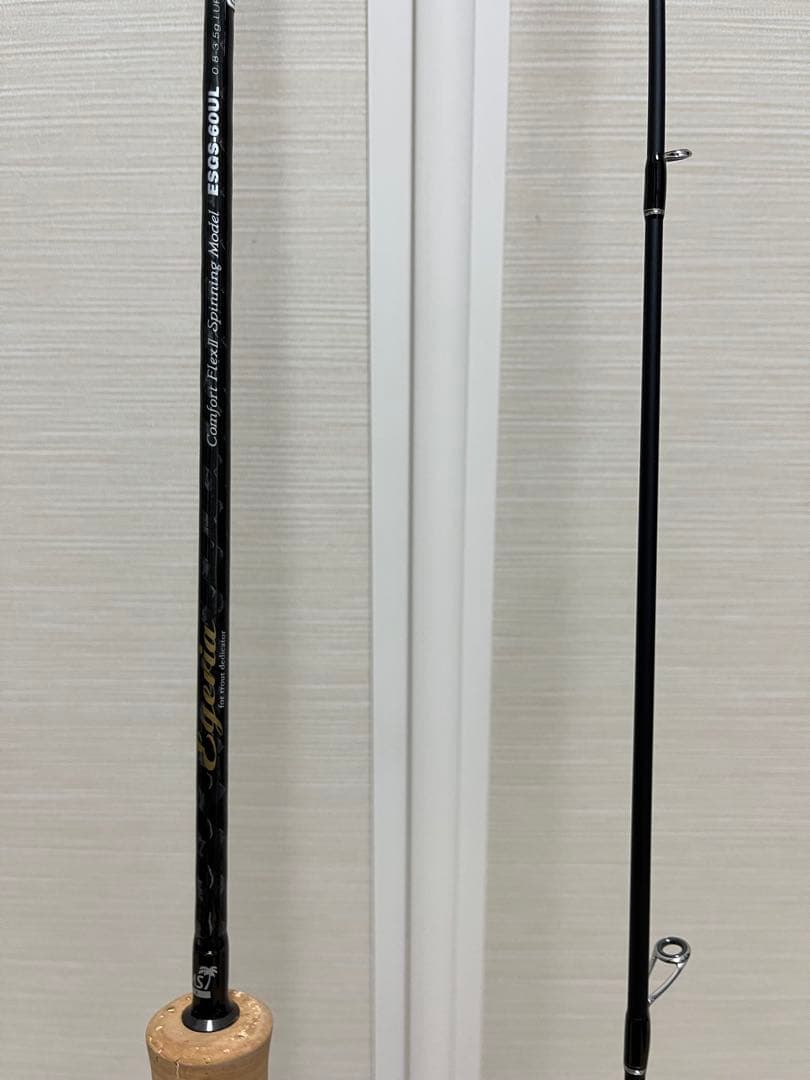 パームス エゲリア エリアパフォーマンス ESGS-60UL 【美品】