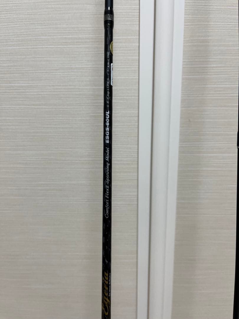 パームス エゲリア エリアパフォーマンス ESGS-60UL 【美品】