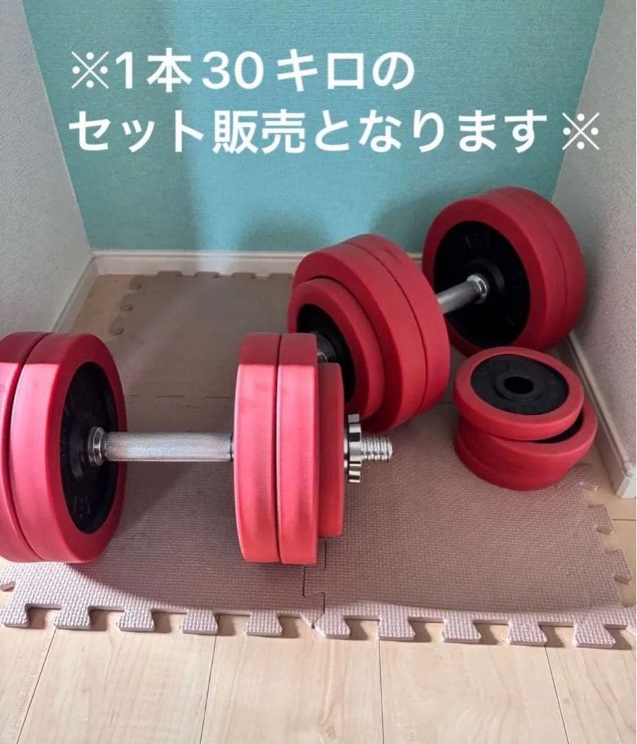 30Kg ダンベルセット 1本