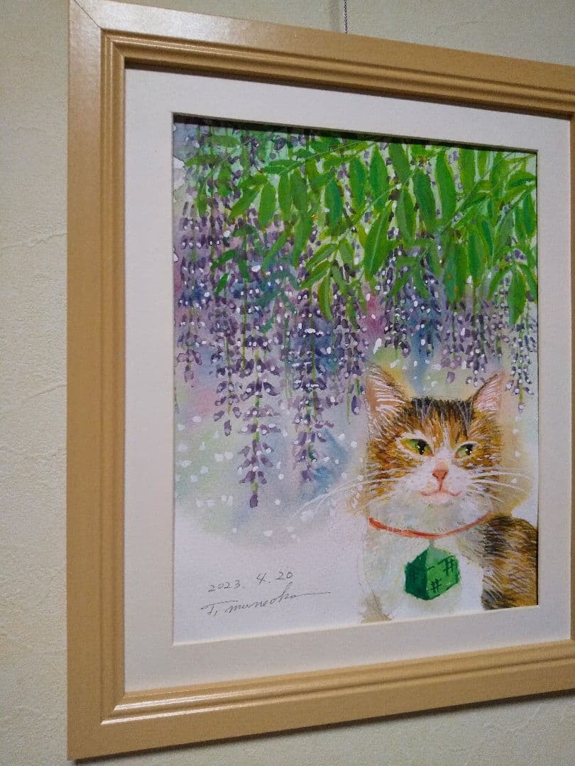 下り藤　涼しい心地