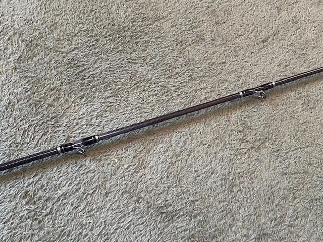 ジャクソン　ジェスター JSC-66TL-P+
