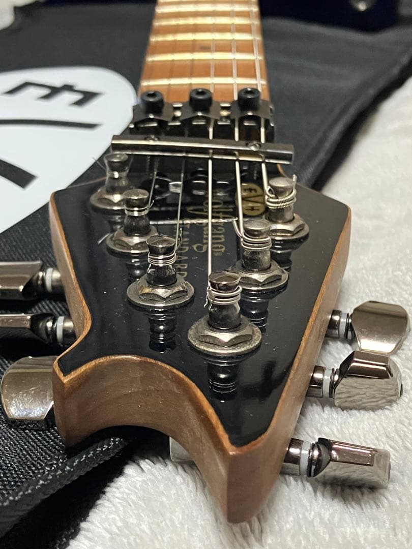 ギター EVH Wolfgang WG Standard Quilt Maple