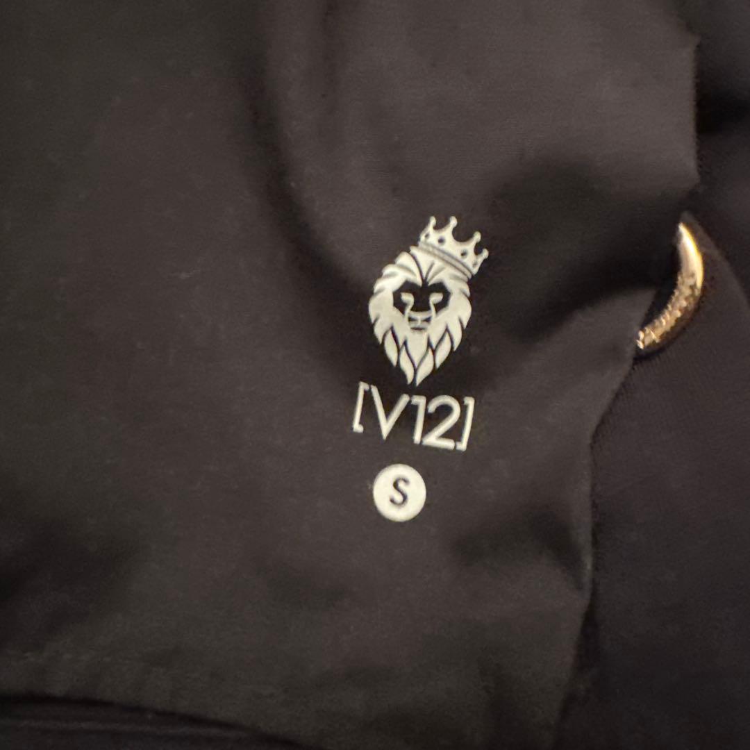 V12 セットアップ