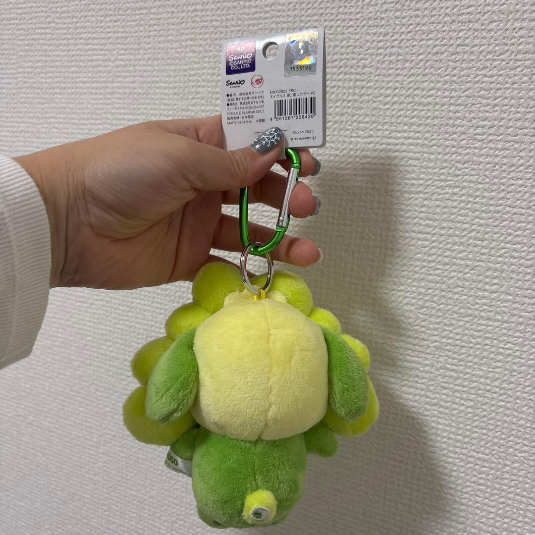 サンリオミャクミャク⭐︎推しカラーポチャッコ⭐︎カラビナ付きキーホルダー