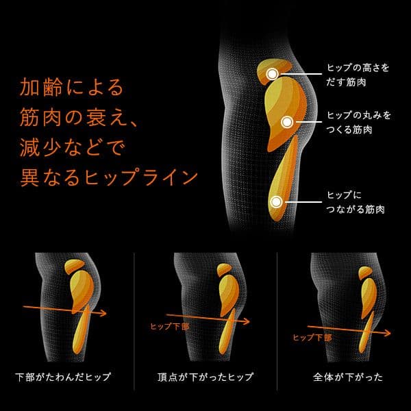 シックスパッド ボトムベルト Mサイズ