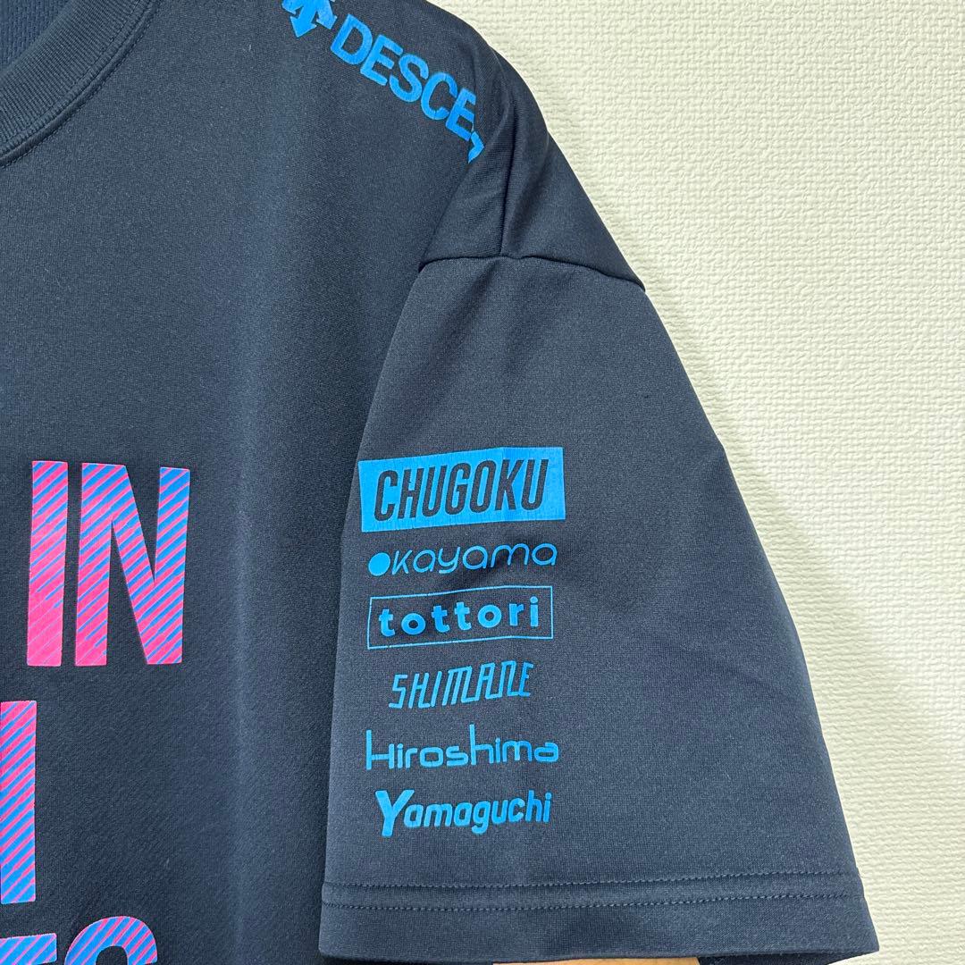 【人気カラー】インターハイ デサント DESCENTE Tシャツ XOサイズ