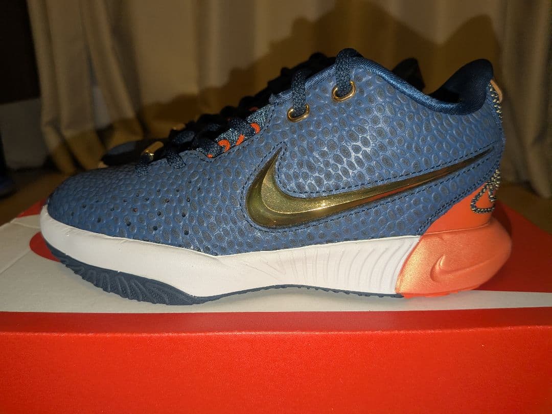 シューズ(女性用) NIKE LEBRON 21 OLYMPIC (GS) FV3606-400