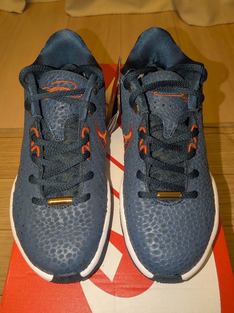 シューズ(女性用) NIKE LEBRON 21 OLYMPIC (GS) FV3606-400