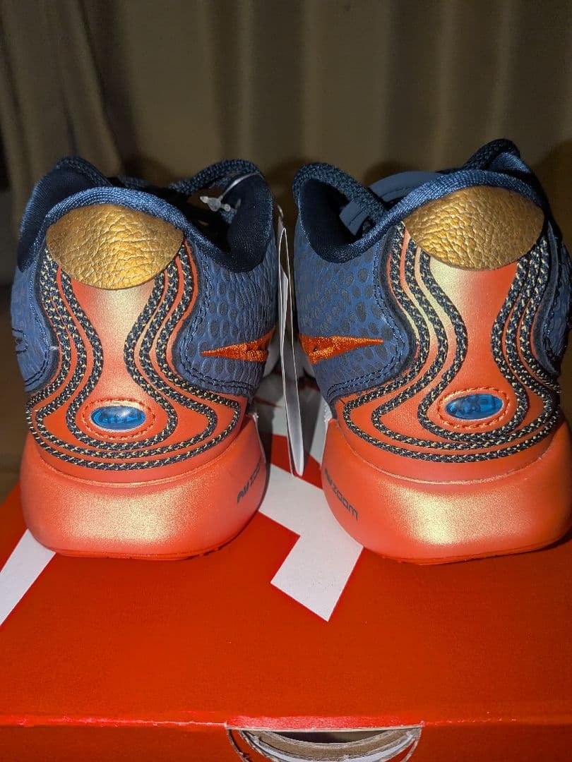シューズ(女性用) NIKE LEBRON 21 OLYMPIC (GS) FV3606-400